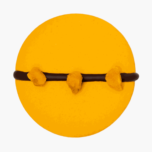 Mango Passion Fruit