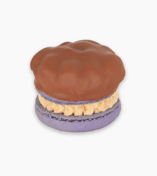 Macarooner macaron with deep cocoa shells and glossy chocolate dome, creamy filling, luxury dessert centerpiece