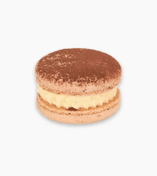 Close-up of creamy tiramisu macaron with coffee-infused shells and cocoa dusting